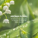 aroma-floral-